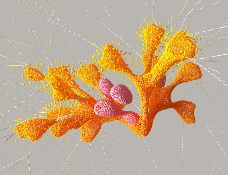 When Chaos Follows Rules: The Simulation Artists Who Teach Physics to Explode on Command